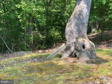 1045 Hyland Lane Lusby, MD 20657