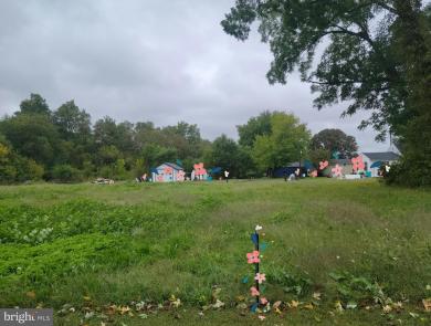 Cabin Creek Hurlock Road Hurlock, MD 21643